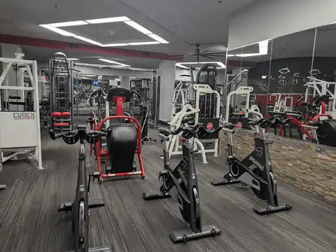 Spin bikes and group cardio equipment at Vine Fitness