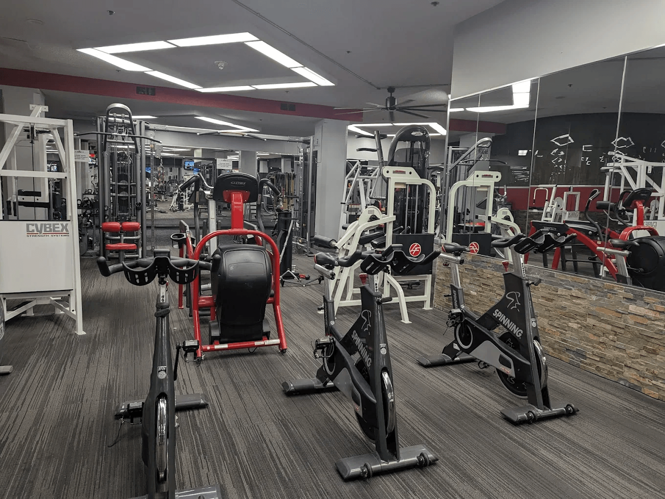 Spin bikes and group cardio equipment at Vine Fitness