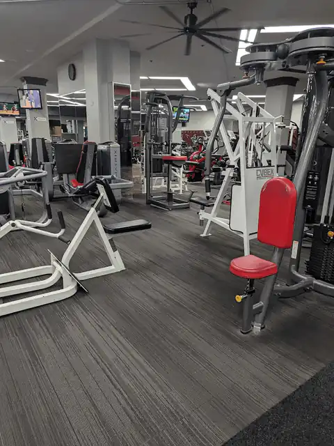 Vine Fitness gym floor — open 24/7
