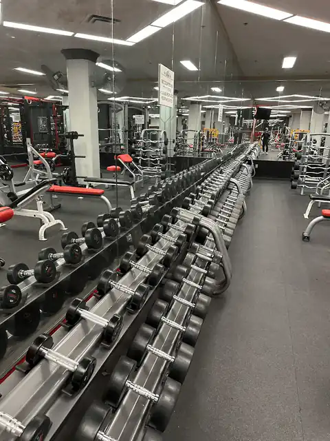 Free weights and barbells at Vine Fitness