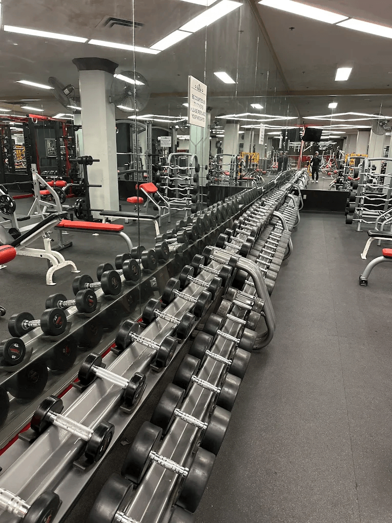 Free weights and barbells at Vine Fitness