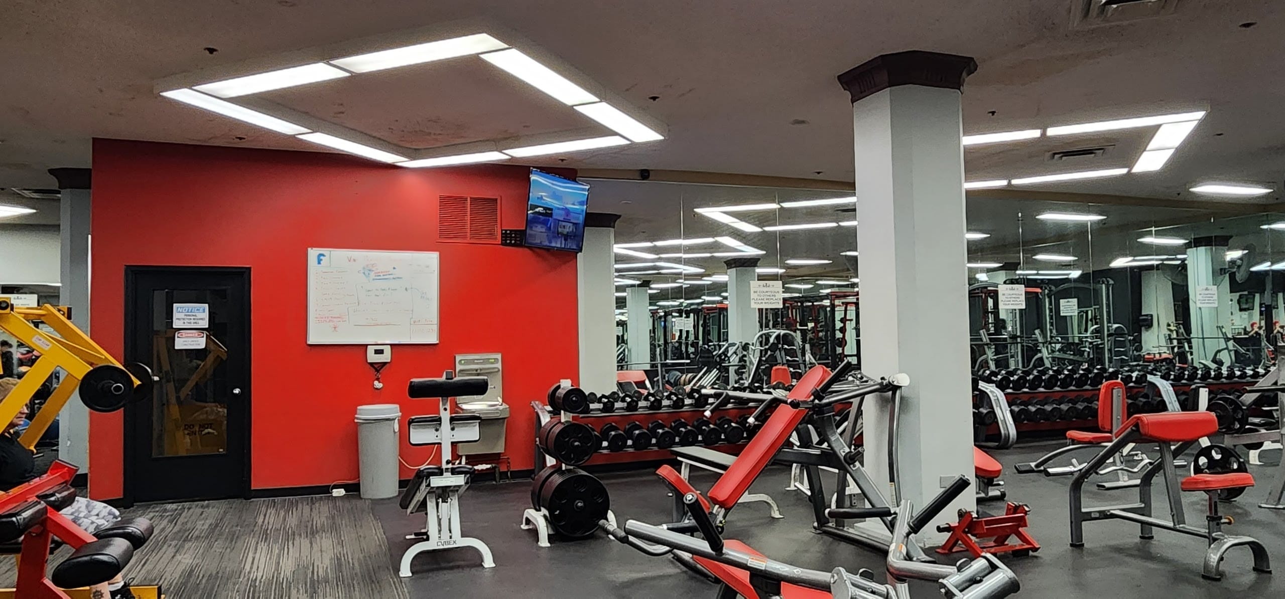 Free weights and dumbbell racks at Vine Fitness