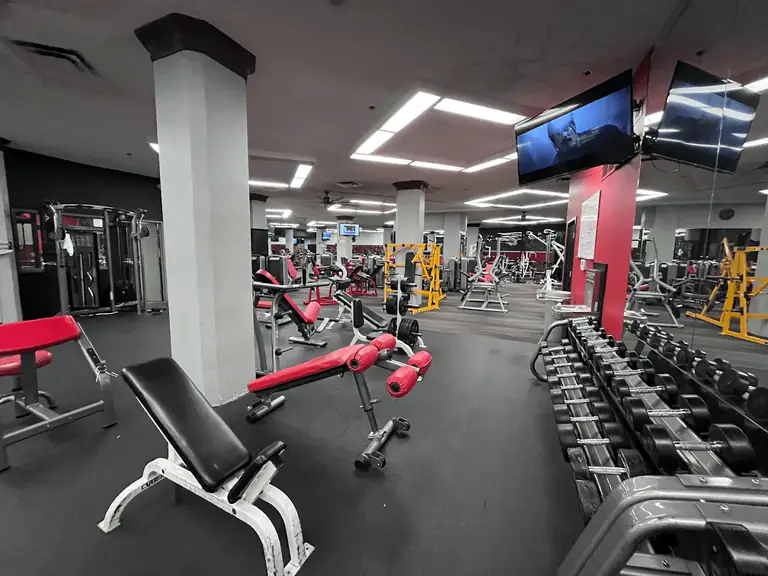 Vine Fitness gym floor and equipment