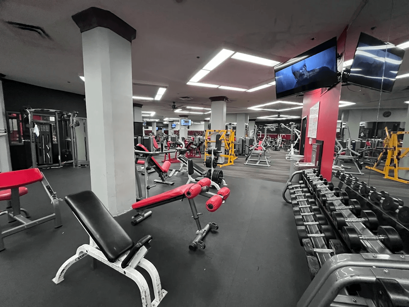 Vine Fitness gym floor and equipment